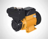 Surface pump_Vortex pump_Peripheral pump TPS60_70_80